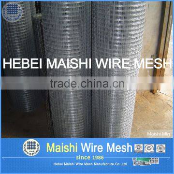 GI Welded Wire Mesh photo-3