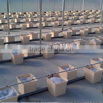 High Quality PP PE Dutch Buckets for Hydroponic Systems photo-6
