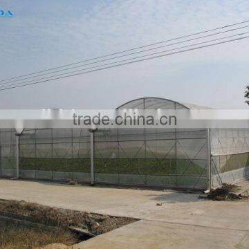 baolida high quality plastic greenhouse for chili