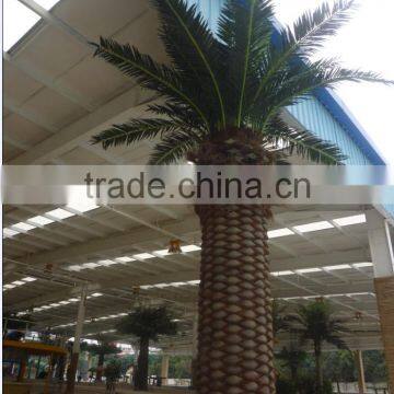Artificial Palm Tree Fiberglass Outdoor Coconut Tree Sale Fake Tree photo-6