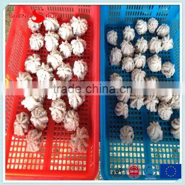 Frozen Baby Otopus IQF Gutted photo-2