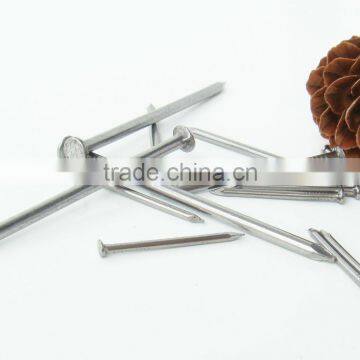 Iron Nail/iron Nail Supplies photo-3