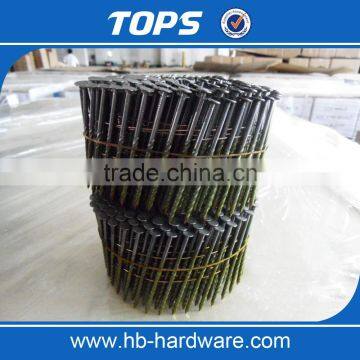 wire collated coil nail