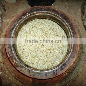 Jasmine Sambac Oil photo-2