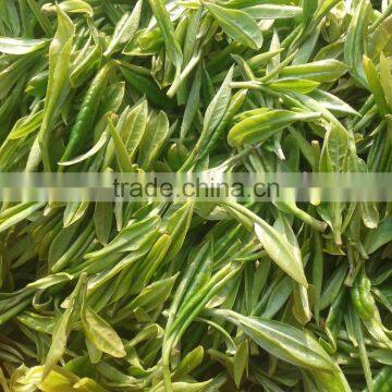 Organic EU Standard Chunmee Green Tea 9366 photo-3