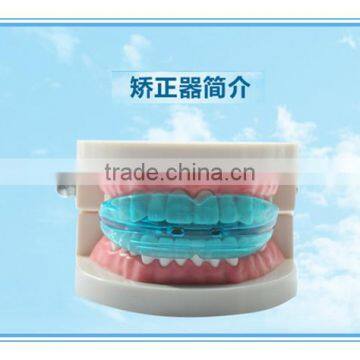 Teeth Orthodontic Trainer Dental Teeth Orthodontic Appliance Trainer Alignment Transparent and Blue Color photo-4