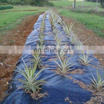 Ground cover for weed control used in garden farm and greenhouse, bio degradable ground cover fabric,weed barrier