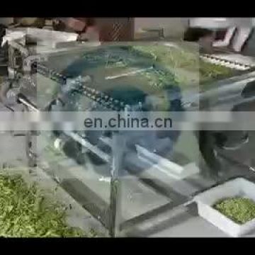 Taizy soybean sprouts skin peeling machine