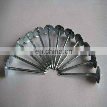 Cheap Umbrella Head 14-20mm Roofing Nails Galvanized