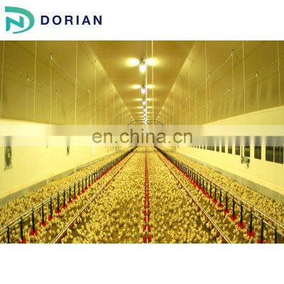 Used Steel Frame Chicken Shed Poultry Farming House Design photo-4