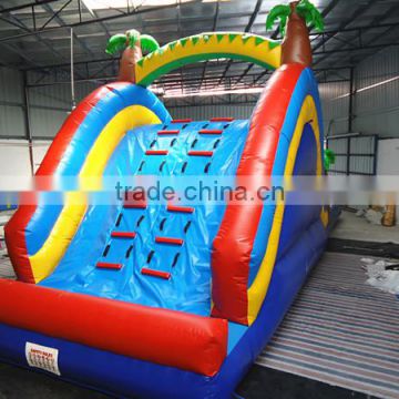 2015 popular games of animal inflatable combo