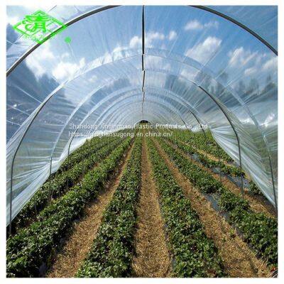 5 Years Warranty Anti-dripping Agricultural PO Greenhouse Plastic Film for Blueberry With Long Service Time photo-3