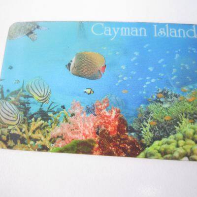 Souvenir Promotional Gifts 3D Lenticular Fridge Magnet photo-3