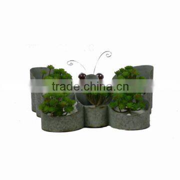 high quality hot sale animal shape succulent garden decoration                        
                                                                                Supplier's Choice