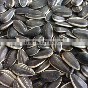 Sunflower seeds for human consumption sunflower seeds market price