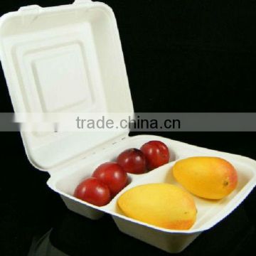 Christmas Kitchen Dinner Biodegradable green compostable Take-away Box In Food Packaging