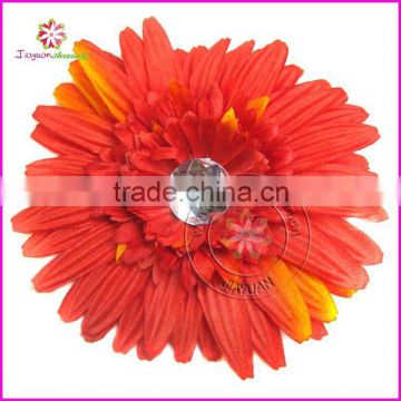 New gerbera daisy flower