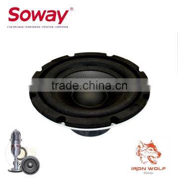 SW-890 8 inch 300W power car loudspeaker