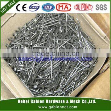 Polished Bright Common Nail(factory price)