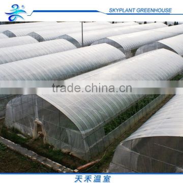 Cheap Galvanized Steel Frame Multi Span Plastic Film Greenhouse for Flowers