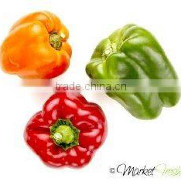 Pure and Natural Capsicum Oleoresin photo-2
