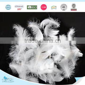 Washed White Goose Feather 4-6cm