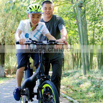 Haoling EN15194 20inch Lightweight Green Power Electric Bike photo-5