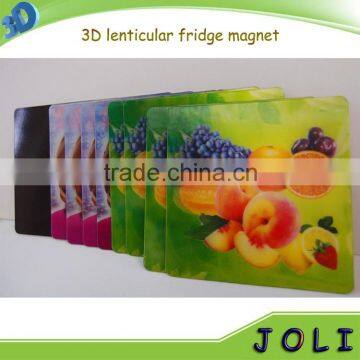 custom design 3D plastic PP epoxy fridge magnet