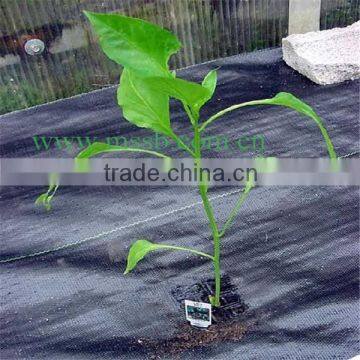 Black PE MATERIAL 15*15cm PP Weed control fabric