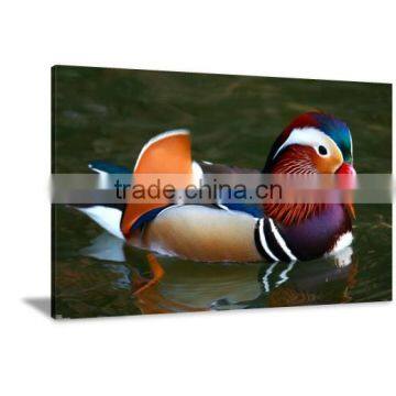 Frame Mandarin Duck Printed Canvas Painting Picture Art Livingroom Decor DWYS24