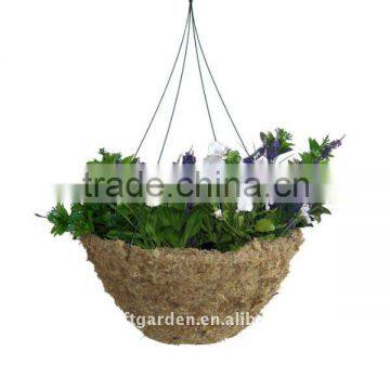 14" Sphagnum Moss Hanging Basket