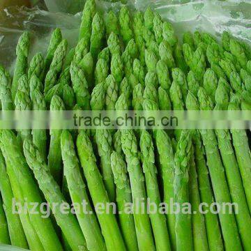 New Crop IQF Frozen Green Asparagus Whole photo-2