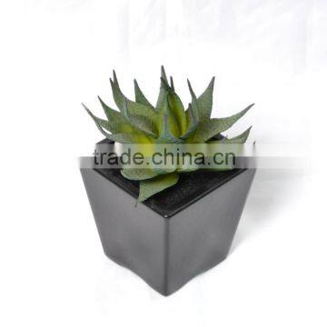 Artificial Echeveria Succulent Desk Top Plant in Black Pot
