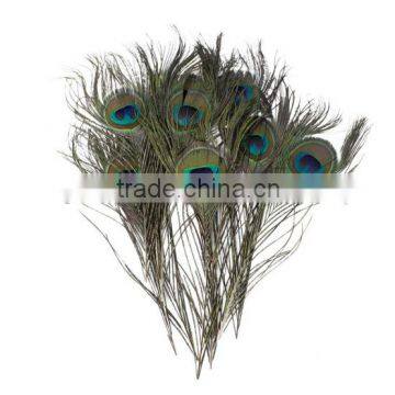 100 Pcs Peacock Feathers 10-12''