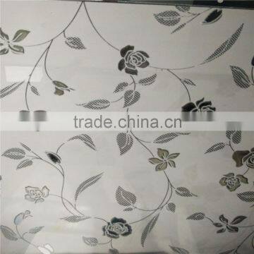 Decorative Partition Bathroom Door Sandblasted Glass Design photo-2