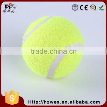 BSCI Approval EN71-Certified Availabled Training LEVEL AA Signature Jumping Tennis Ball photo-4