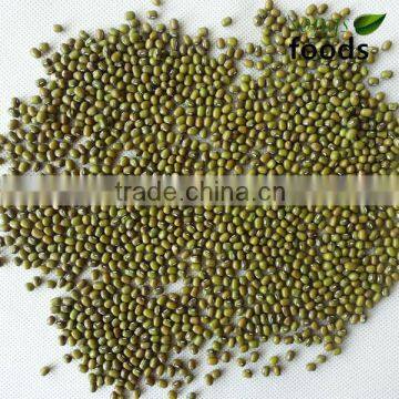Green Mung Bean Harvester