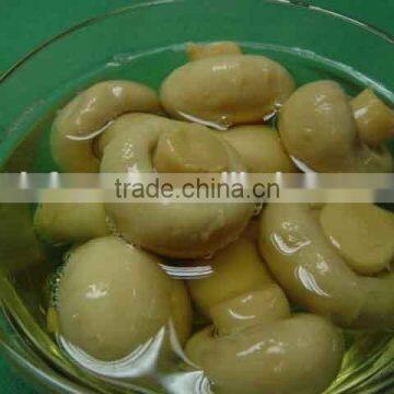 China Canned Mushrooms/canned Champignon/canned Shiitake Mushroom photo-6
