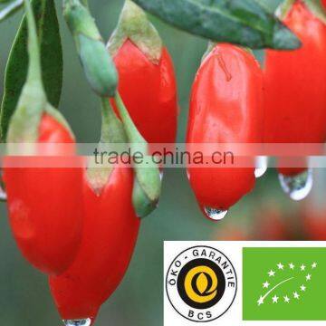 Sun Dried Organic Goji Berries