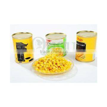 SALT PRESERVATION TYPE HACCP,ISO,IFS CANNED SWEET CORN photo-2