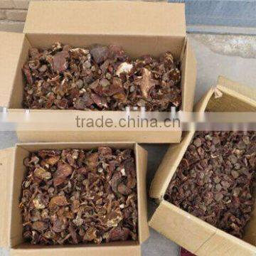 Green Healthy Dried Smooth Mushroom for Sale photo-6