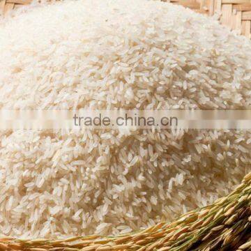 Long Grain White Rice 5% Broken