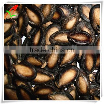 black watermelon seeds cheap price