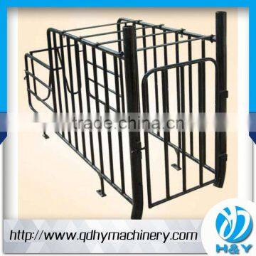 Galvanized Pipe Pig Gestation Stall