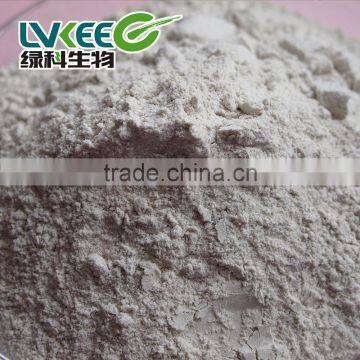 Lvkee Supply High Content 200 Bilion Cfu/g Bacillus Amyloliquefaciens for Agriculture Product photo-2