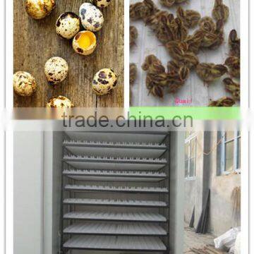 egg hatch tray