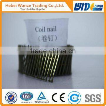 Twisted Coil Nail Packed in Carton Brighted Coil Nail plastic collated coil nails