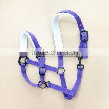 PURPLE HORSE HALTER WITH FLEECE PADDED HORSE EQUIPMENT HORSE HALTER PURPLE EQUESTRIAN WHOLESALE HORSE HALTER TOP QUALITY