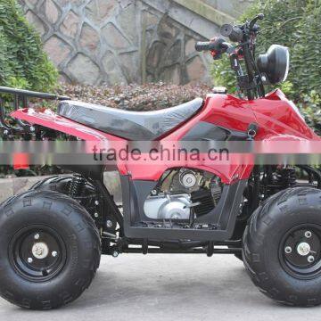 125cc 4 Wheel Quad Bike ATV Motorcycle ATV 125cc ATA125-B photo-4