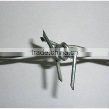 Manufacturers direct sale galvanized barbed wire